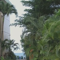 Kahana Reef