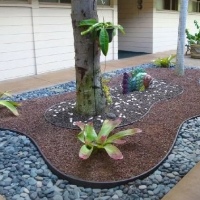 Kahana Reef