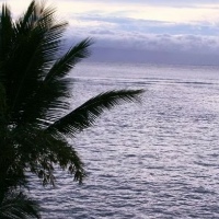 Kahana Reef
